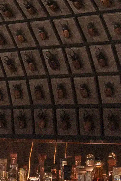 Entomology bar